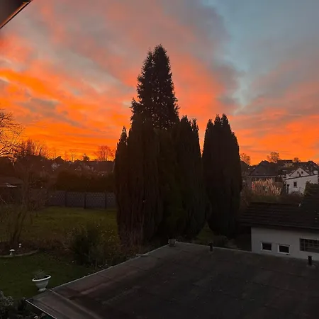 Sterner Obgruiten * Haan