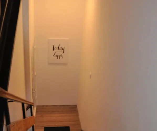 Sterner Obgruiten * Haan