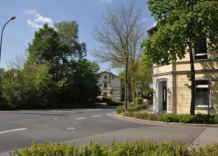 Sterner Obgruiten Haan