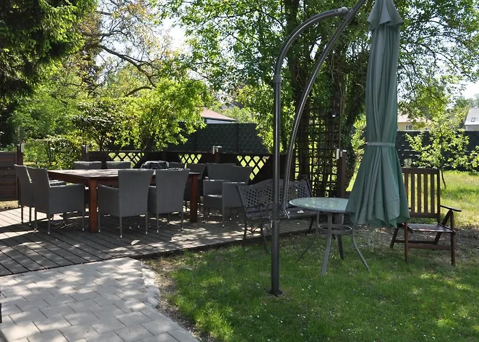 Sterner Obgruiten * Haan