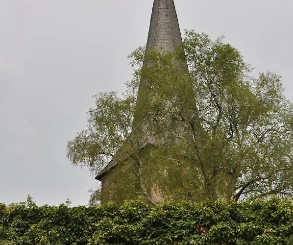Sterner Obgruiten Haan