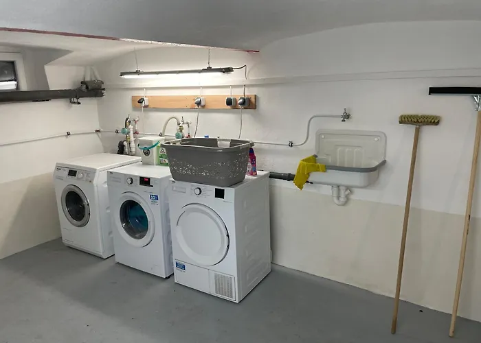 Sterner Obgruiten * Haan