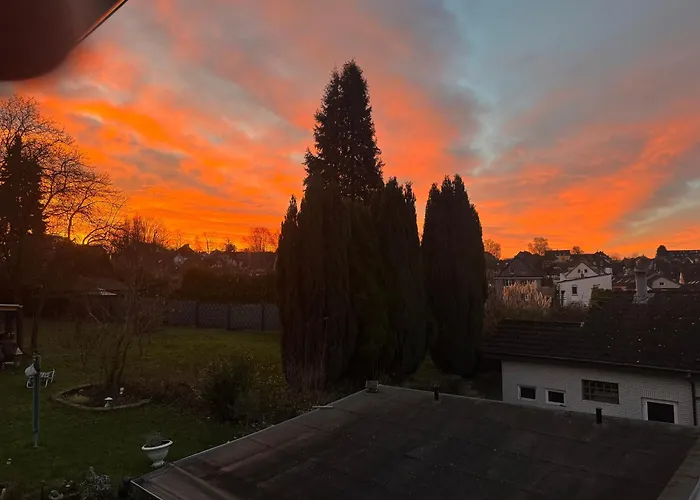 Sterner Obgruiten * Haan